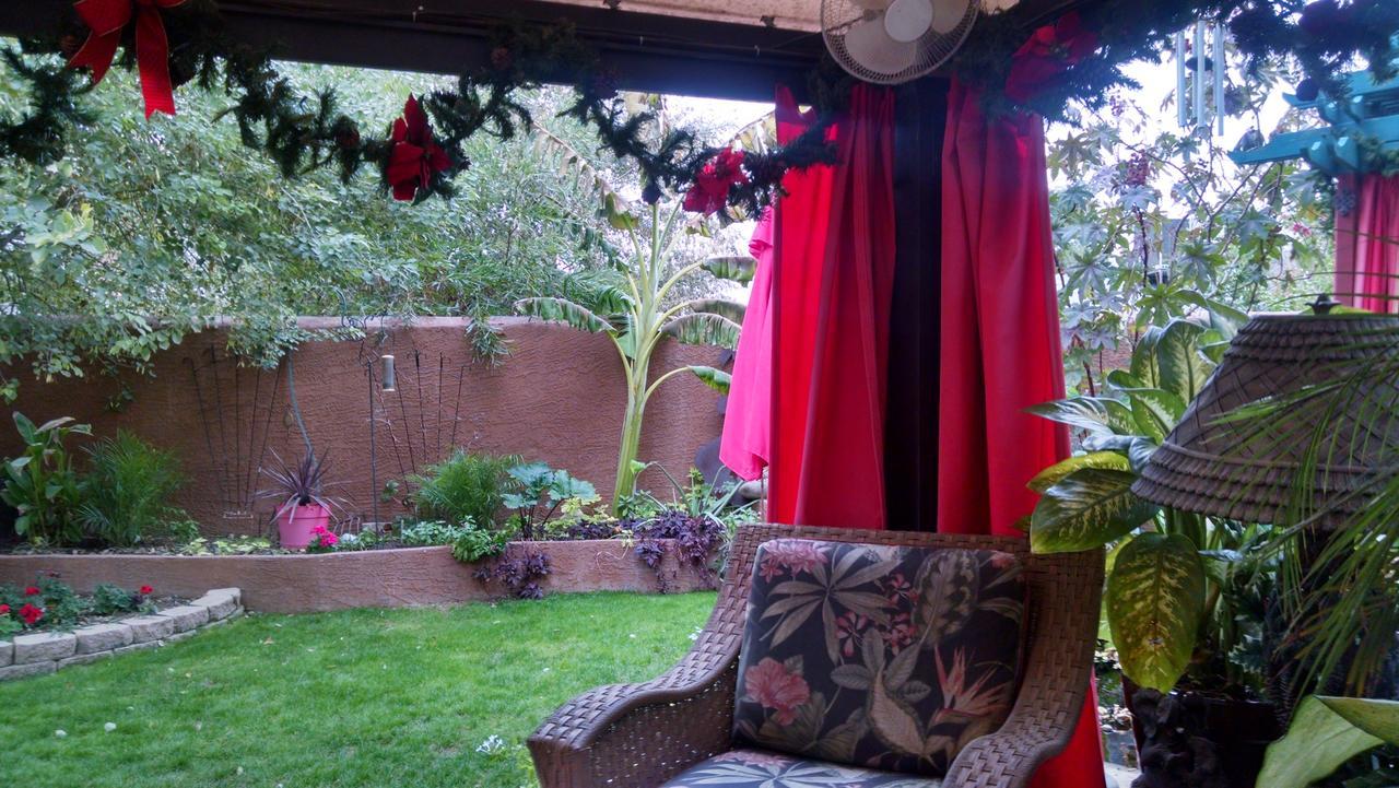 Don'S Elegante Bed & Breakfast Phoenix Exterior photo